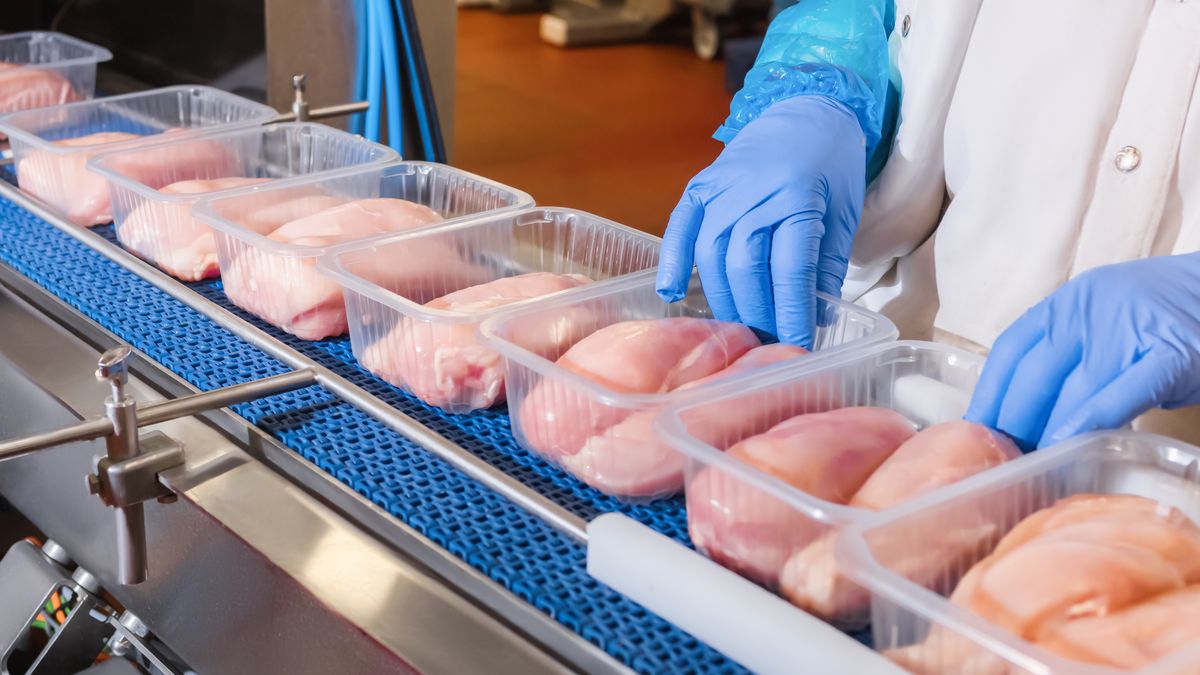 Veterináři nařídili stáhnout z trhu mražené kuřecí části se salmonelou
